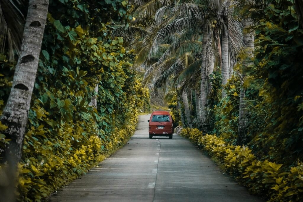 A red van travels down a scenic road lined with lush palm trees and greenery.